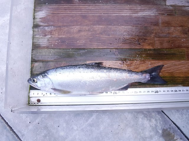 湯の湖フィールド状況